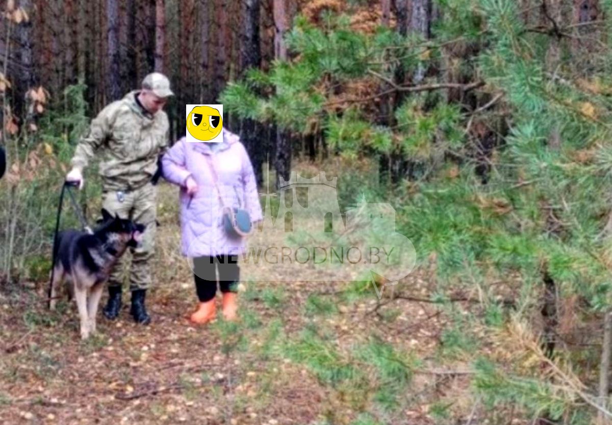 Такие ситуации в последнее время не редкость. Люди уходят в лес за грибами, а дорогу обратно найти не могут. На днях в таком положении оказалась читательница Newgrodno.by и ее соседка. Они вместе отправились на тихую охоту в район Августовского канала. Недалеко от деревни Калеты у машины спустило колесо.