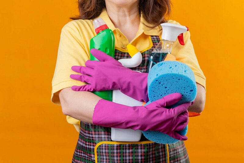 чем занимаются домработницы