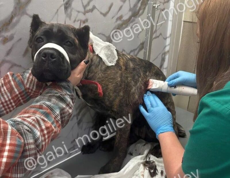 Пьяный белорус от злости