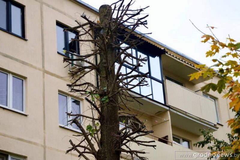 Соседский спор