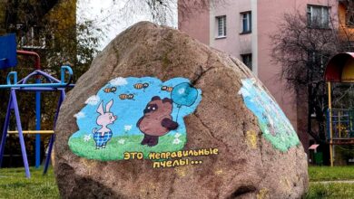 Во дворах в Гродно заметили необычный