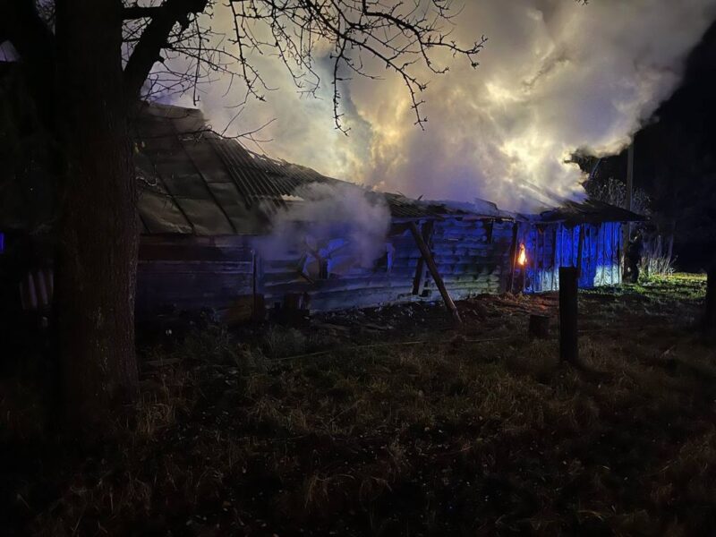 обзор пожаров