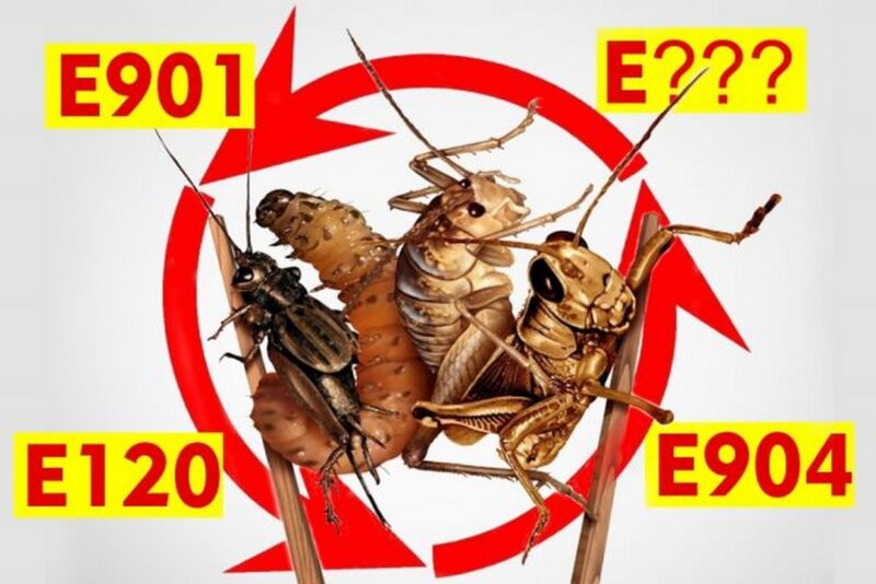 Какую Е-добавку делают из насекомых