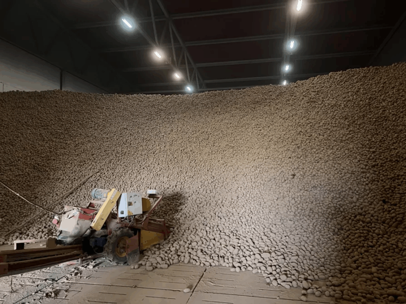 Запасы на зиму в 