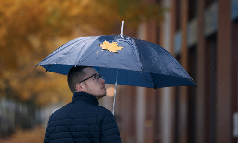 Будет ли климатическая