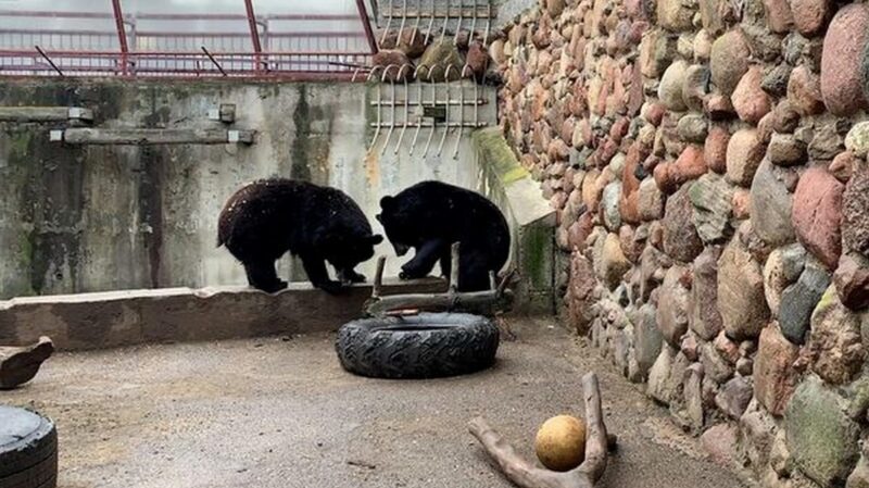 в зоопарке Гродно