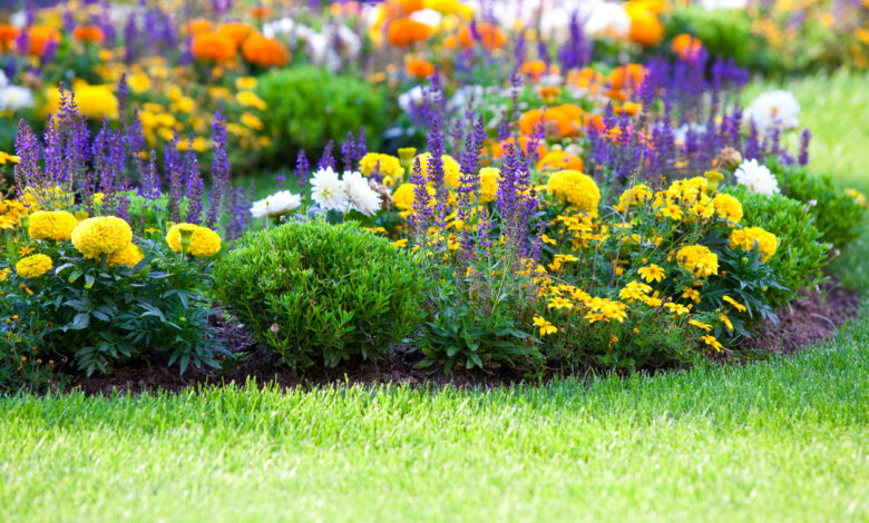 2 миллиона цветов