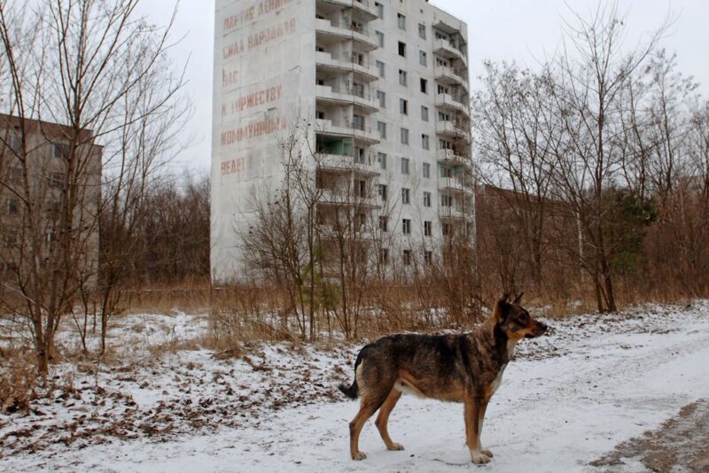 эксперты развеяли мифы