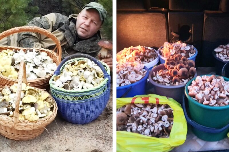 белорусы делятся впечатляющими находками