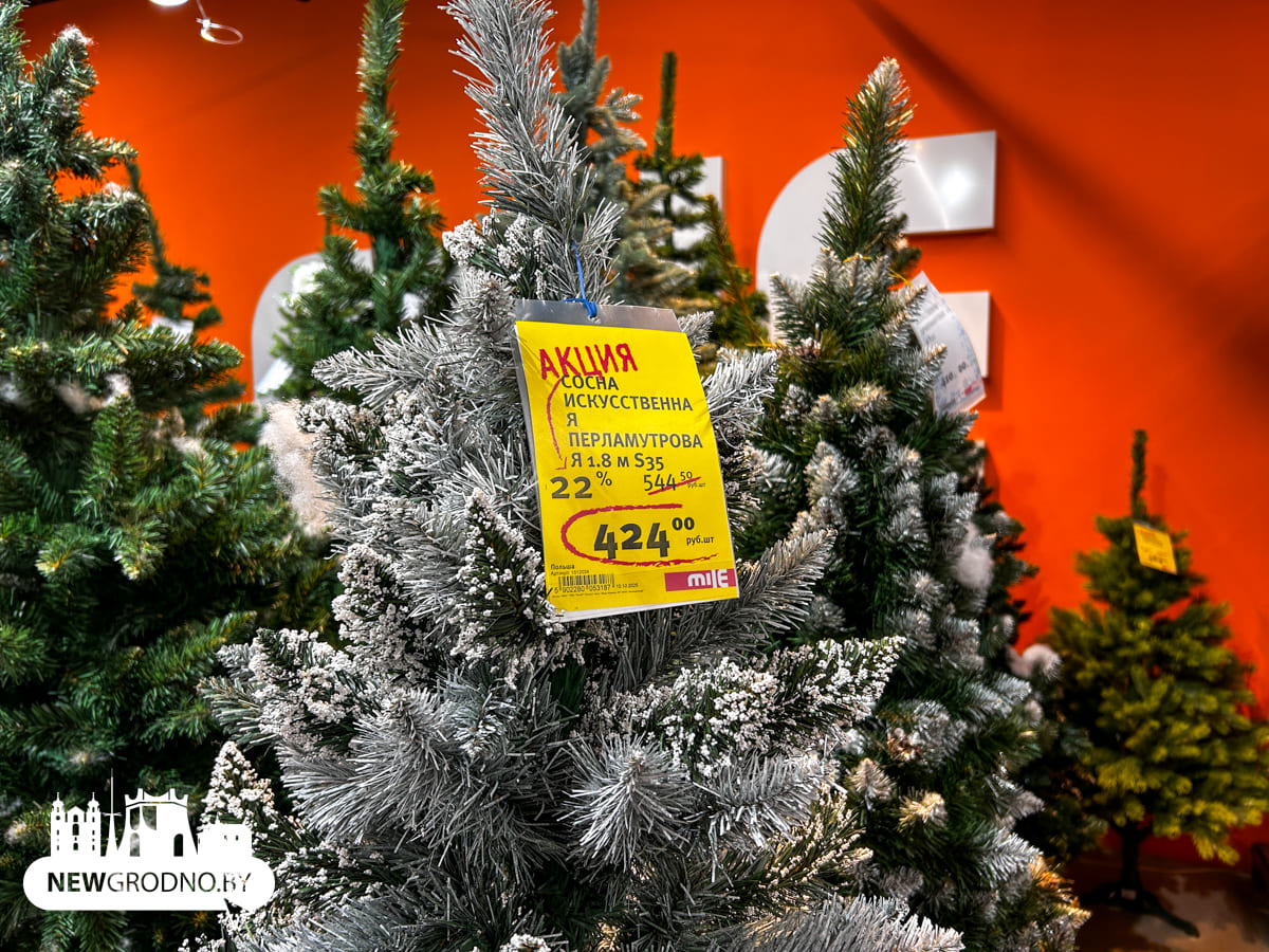 Изучаем новогодние секции в магазинах