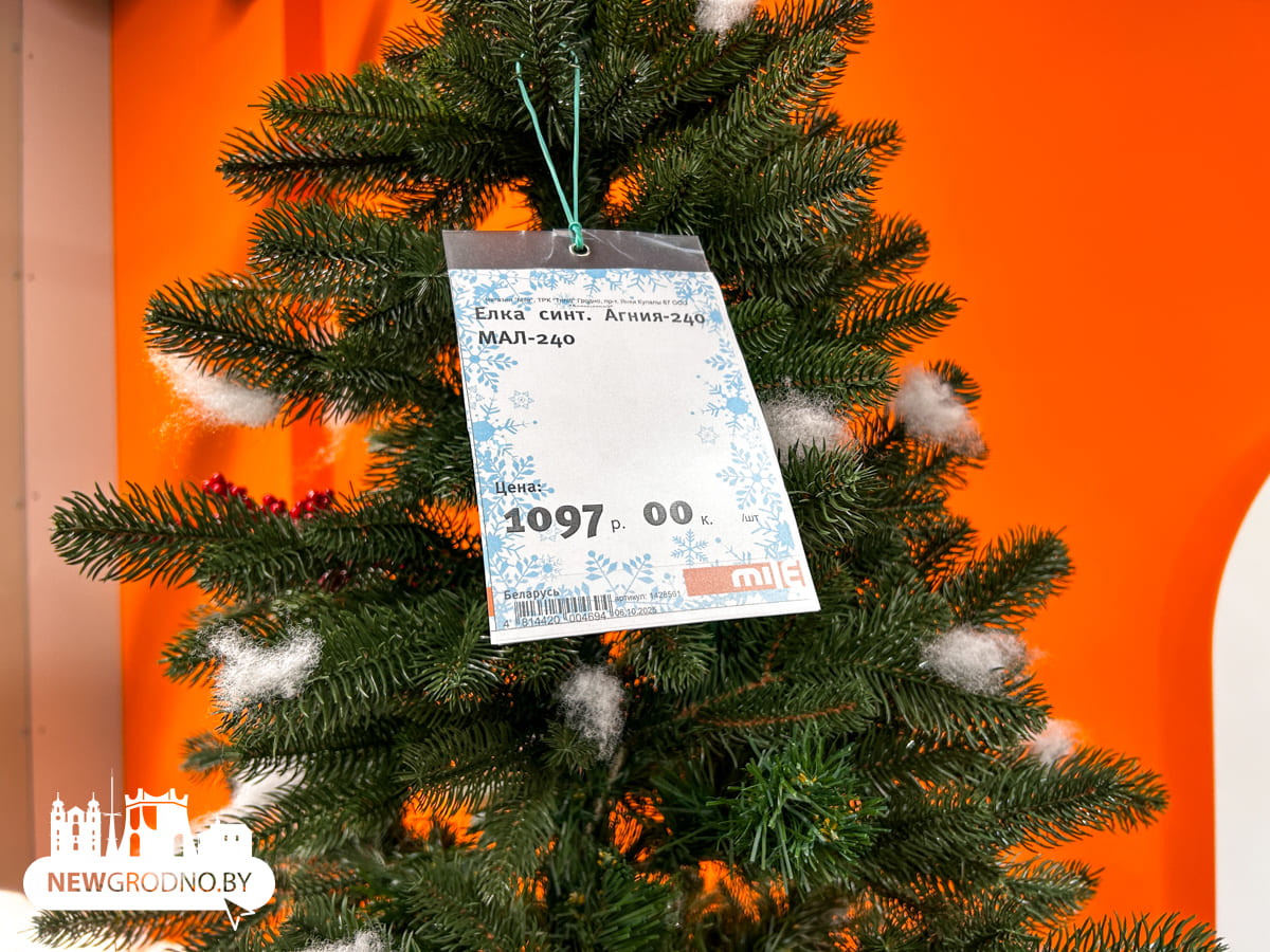 Изучаем новогодние секции в магазинах