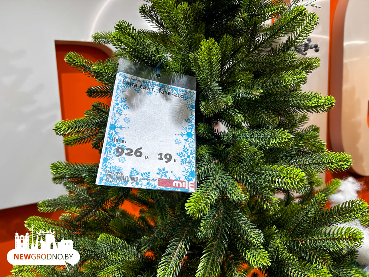 Изучаем новогодние секции в магазинах