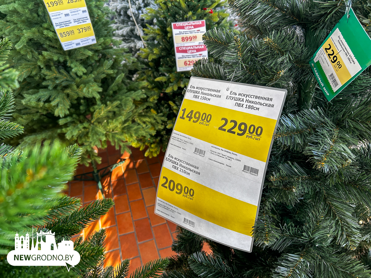 Изучаем новогодние секции в магазинах