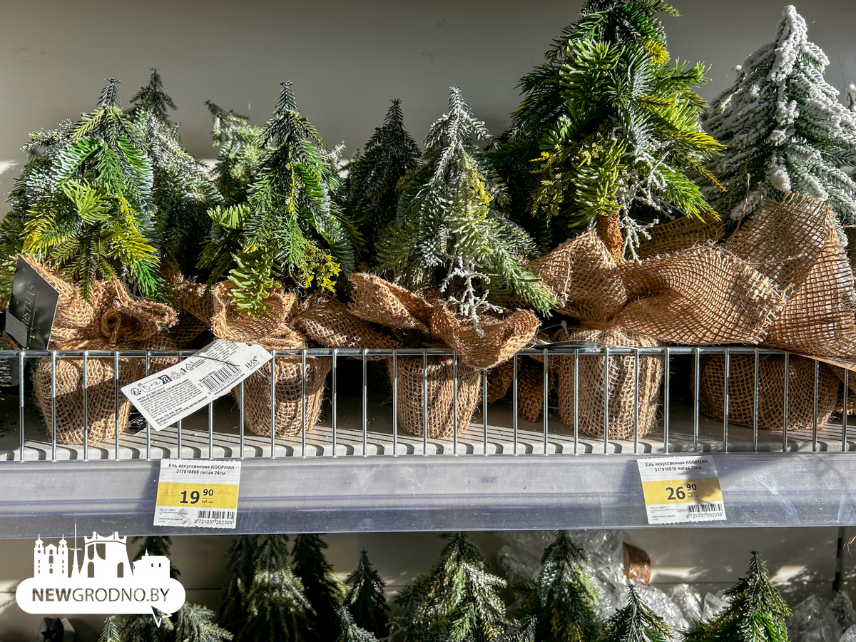 Изучаем новогодние секции в магазинах