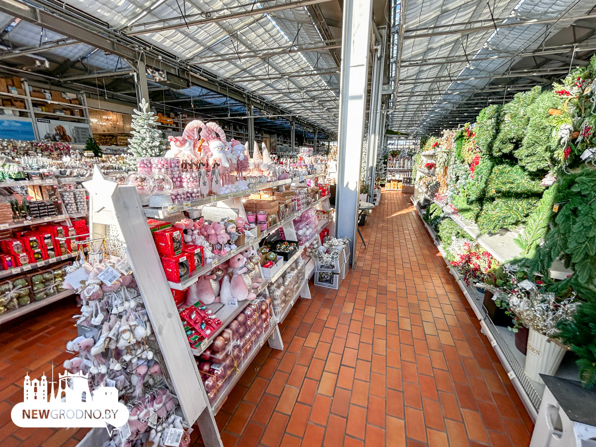 Изучаем новогодние секции в магазинах