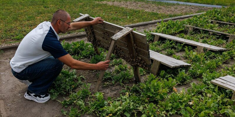На краю Беларуси