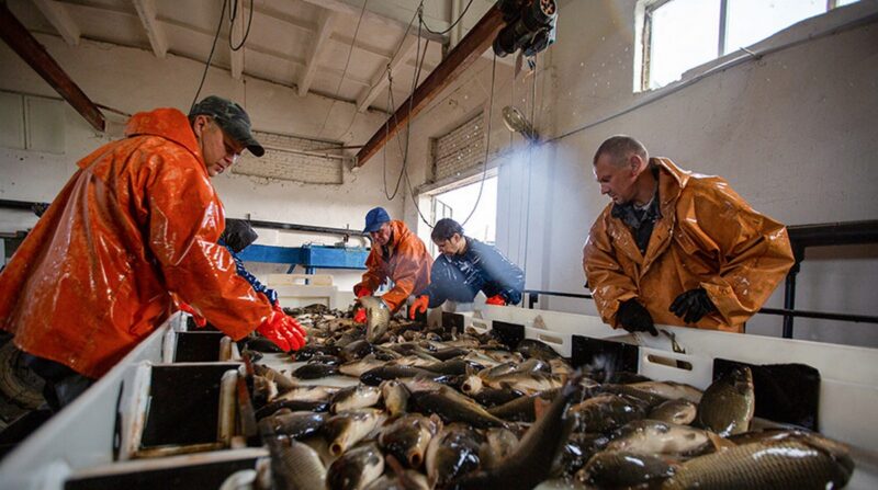 как в Беларуси