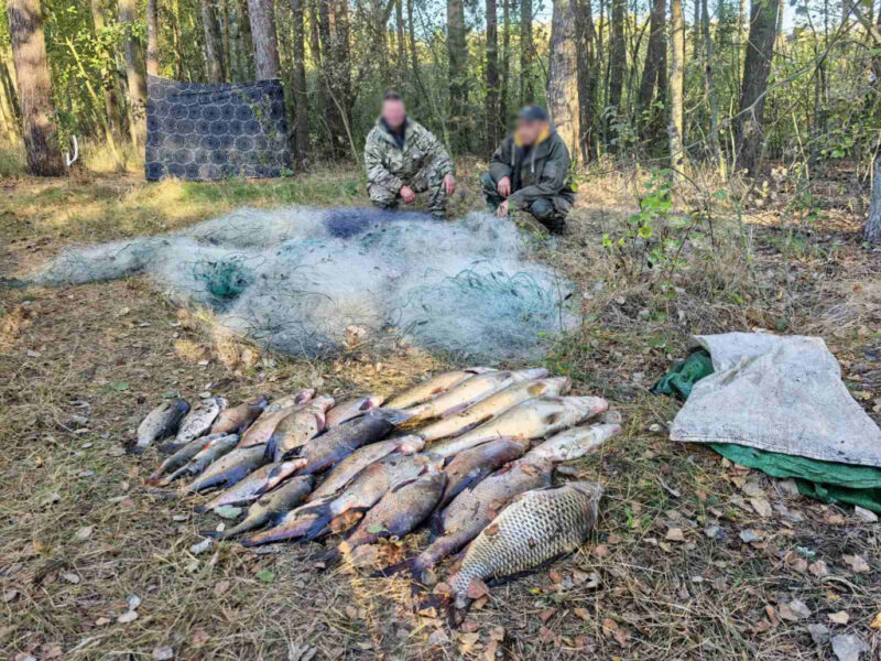 как двое белорусов попались