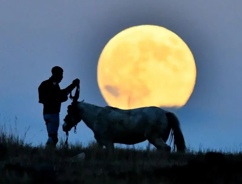как «Бобровую Луну»
