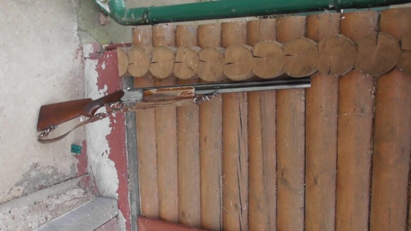 инспекторы 