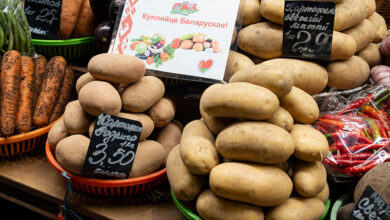 Хватит ли белорусам