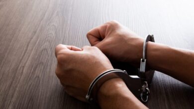 Семейная преступная группа