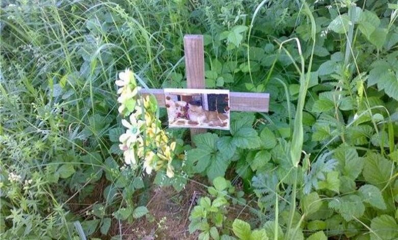 Можно ли похоронить