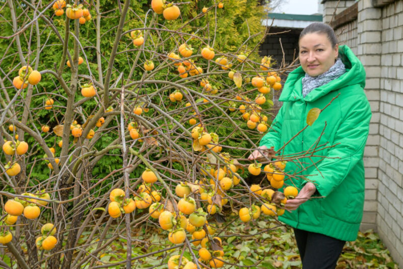 в ноябре у белоруски