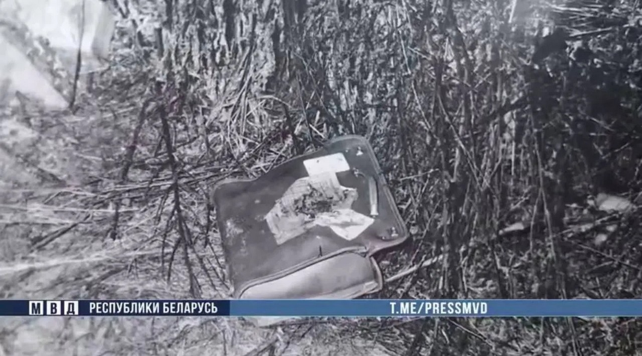 В Беларуси раскрыто