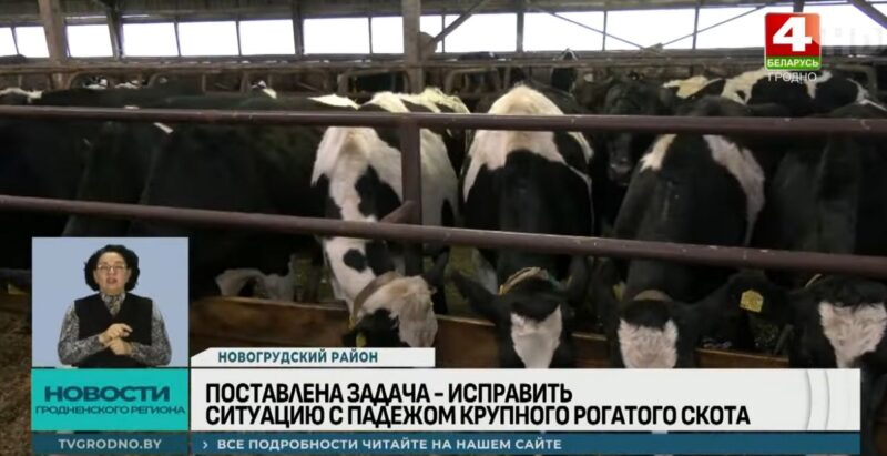 прокуратура Гродненской области