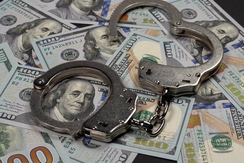 Милиция задержала популярную блогершу