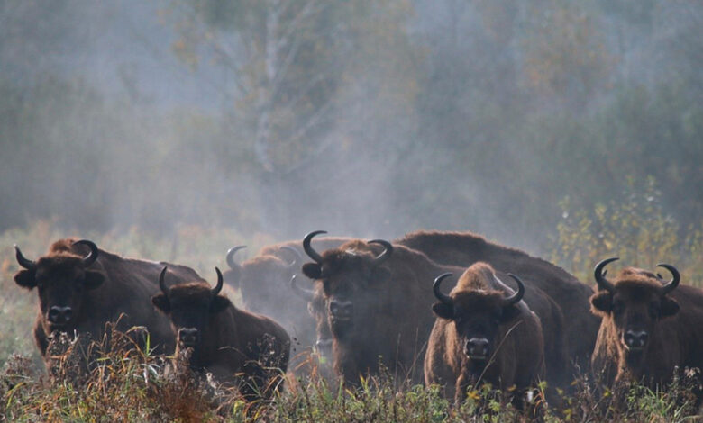 Беларусь - только третья