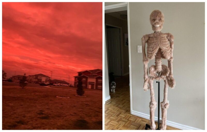 22 фото вещей