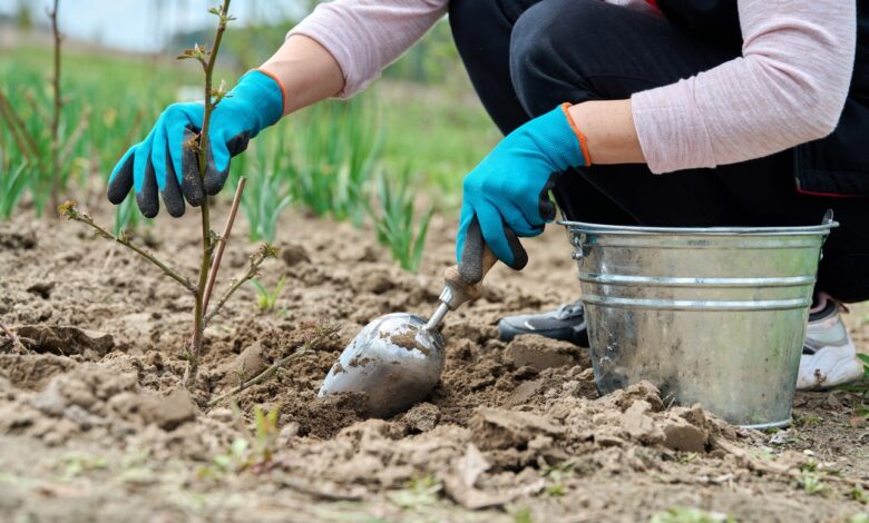 Прокуратура проверит