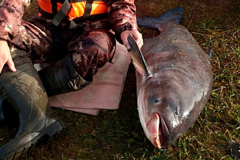В Гродненской области
