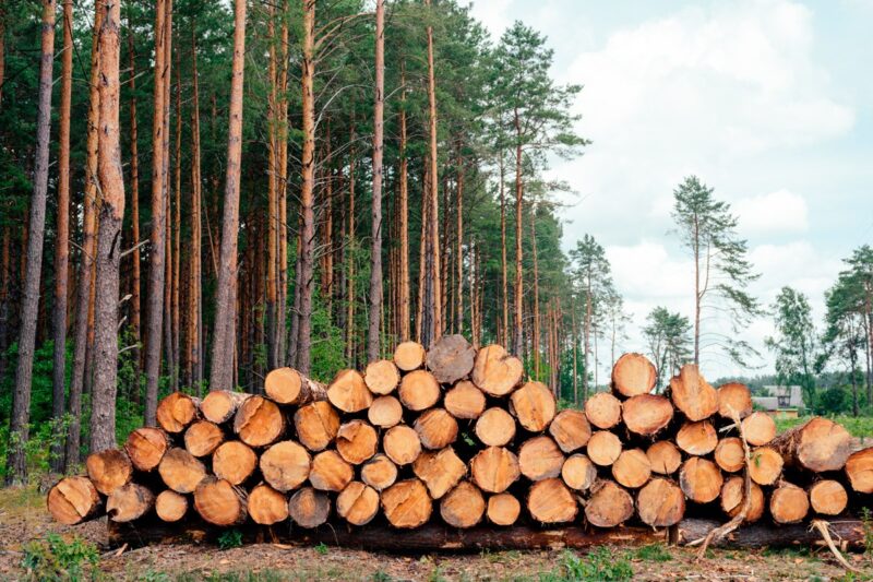 В деревнях Беларуси