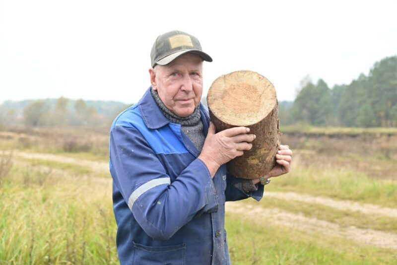 Полвека в камне