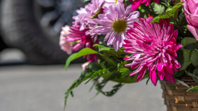 Что будет с памятниками