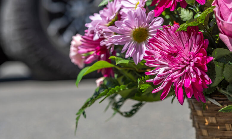 Что будет с памятниками