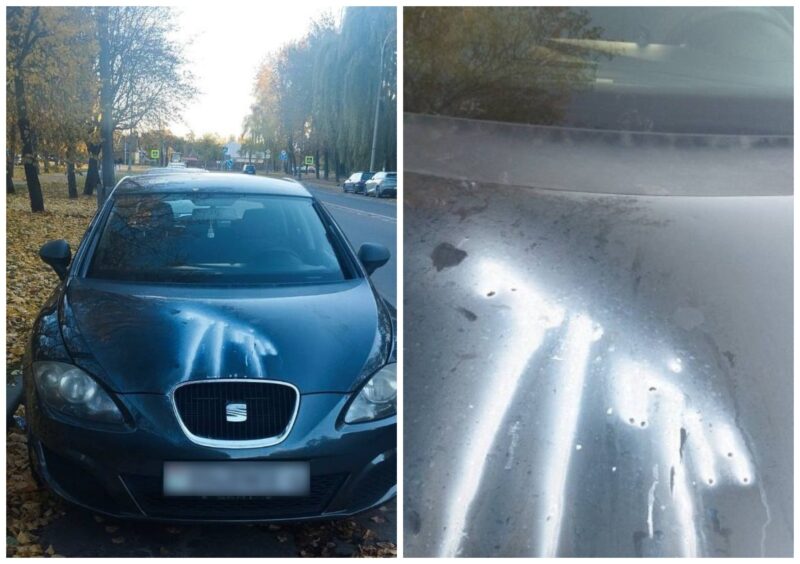 в Гродно задержали