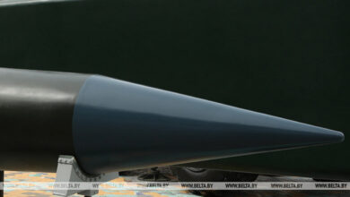 Вольфович подтвердил