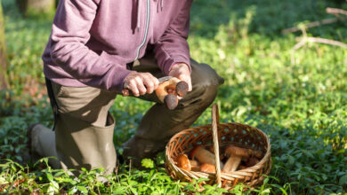 Под Гродно женщина