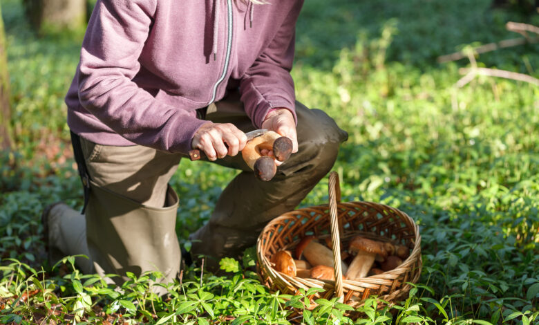 Под Гродно женщина