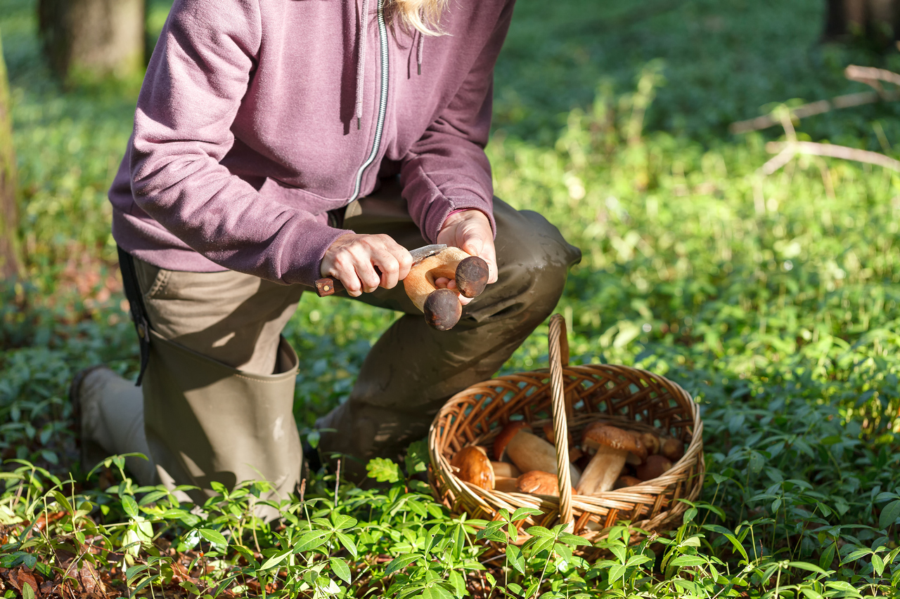 Под Гродно женщина поела