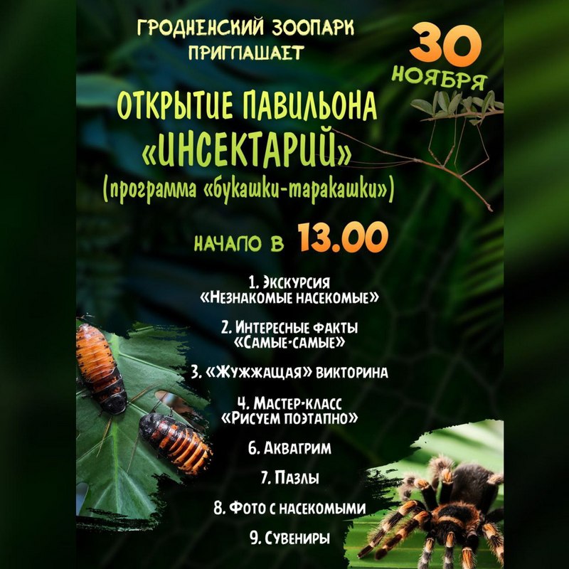 В Гродненском зоопарке открывается новый павильон