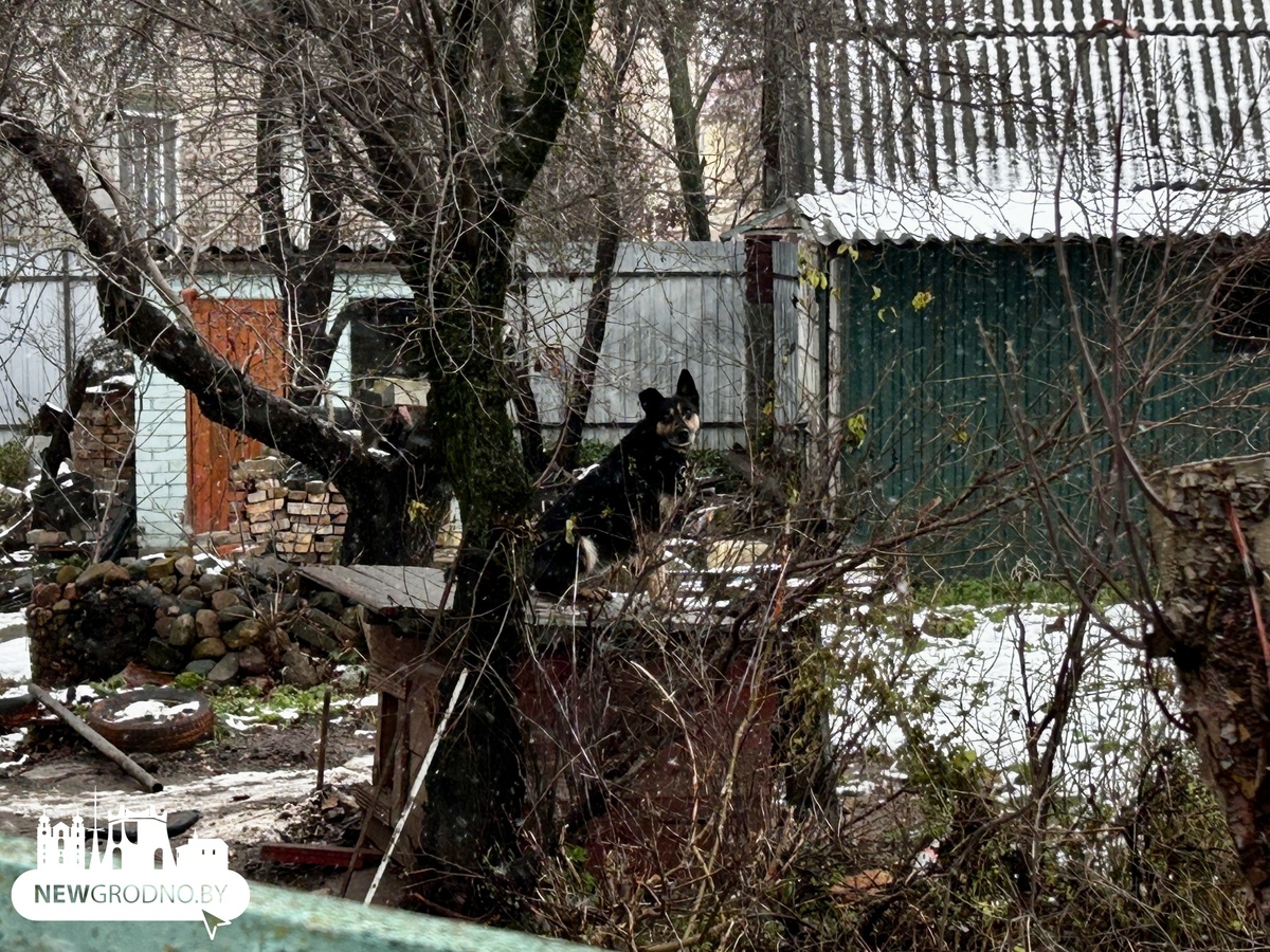 В Гродно сносят еще один участок