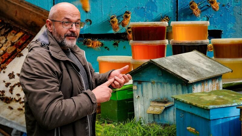 как пчеловод