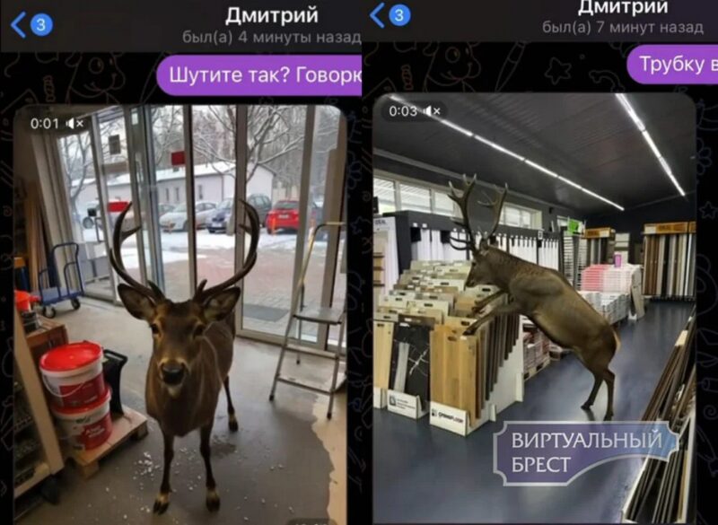 брестский пранк