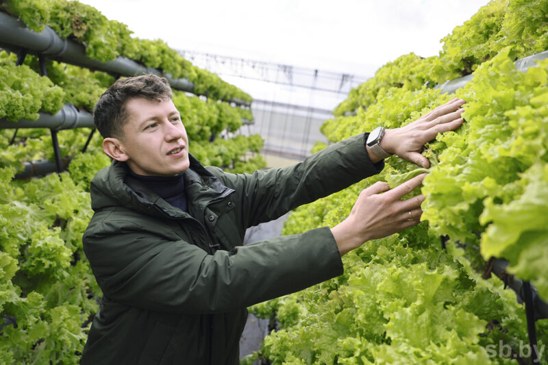 Белорусский агроном