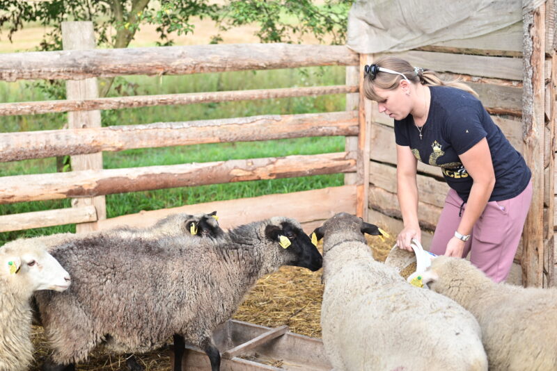 Как многодетная семья 